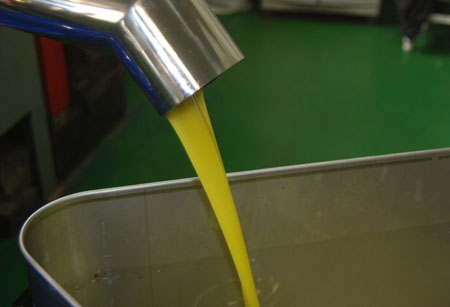 frisches Olivenöl Das frisch gepresste Olivenöl rinnt aus der Presse.
