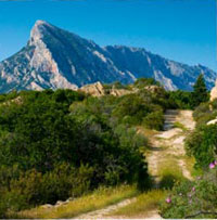 fruehling_auf_sardinien Bergen liegt Sardinien.