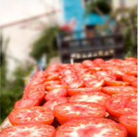 trocknende Tomaten trocknende Tomaten