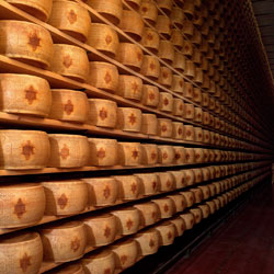 Grana Padano Reifung reifender Grana-Padano-Laibe