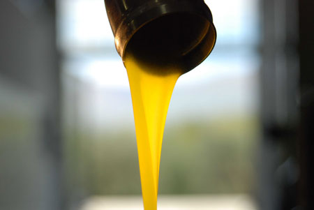 quattrociocchi_frisch_gepresst Frisch gepresstes Olivenöl - flüssiges Gold