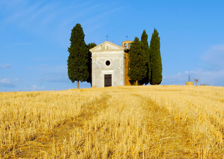 Ein abgeerntetes Weizenfeld in Apulien.