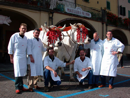 Die Rinderrasse Chianina – eine Delikatesse aus der Toskana