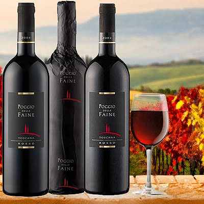 Testsieger Poggio della Faine Poggio della Faine