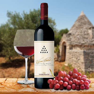torrevento vigna pedale Sieger: Torrevento Vigna Pedale