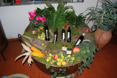 montecroce_desenzano_oliven Olivenöl von Montecroce Desenzano