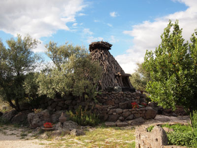 olivenoel sardinien Typisch sardische Schäferhütte mit Olivenbaum