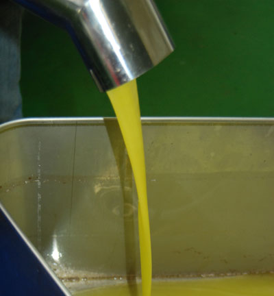 cutrera_frisches_olivenoel Frisches Olivenöl rinnt aus der Mühle