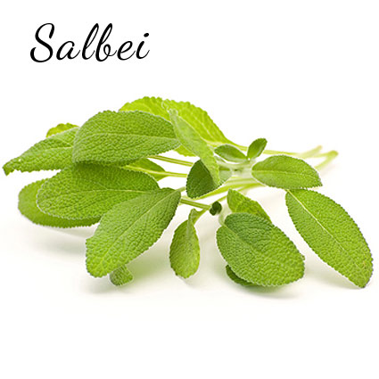 salbei