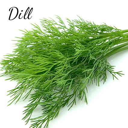 dill aneto dill
