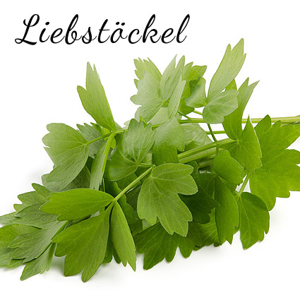 liebstöckel