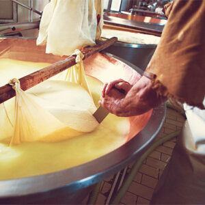 Grana Padano Herstellung