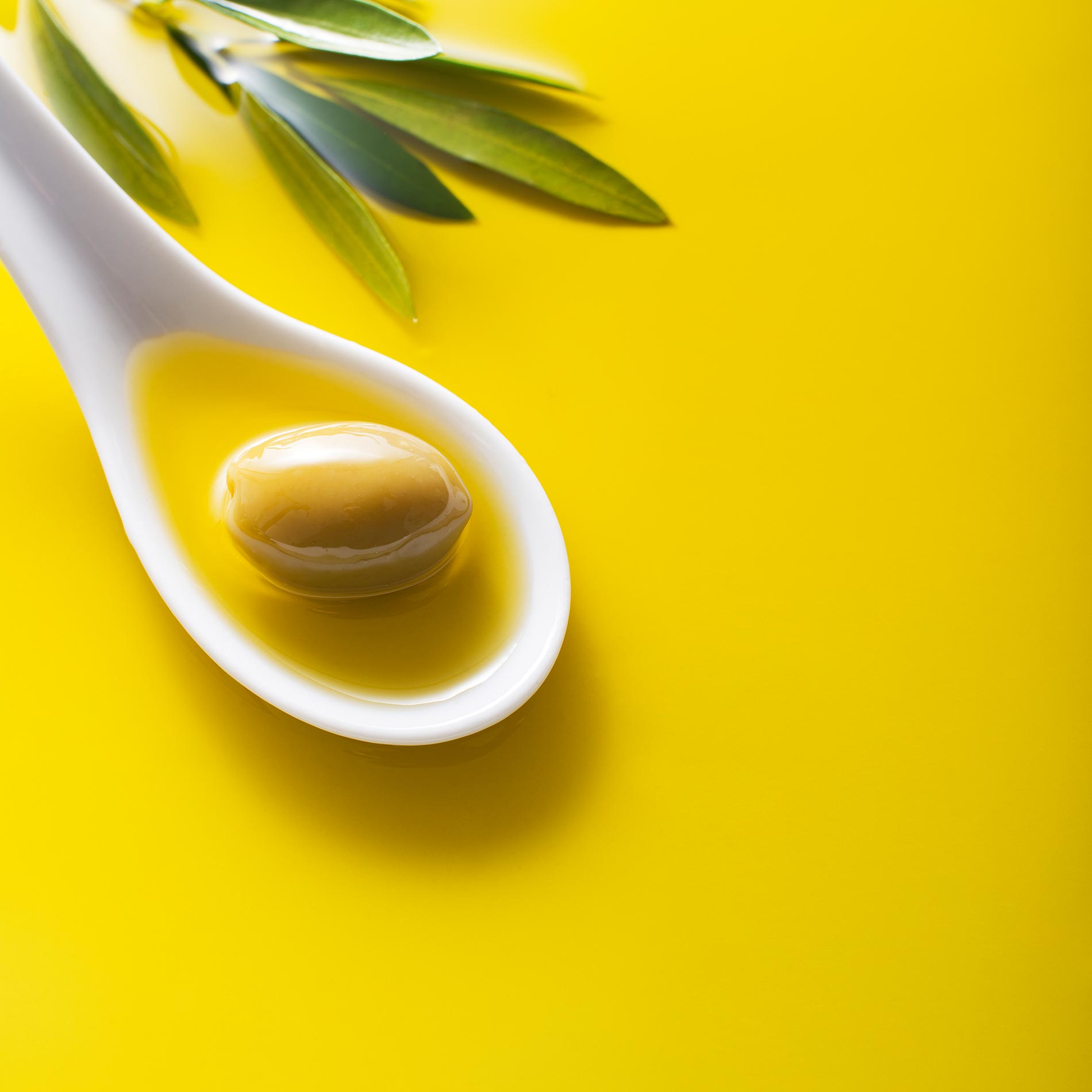 Olivenöl lagern – so bleibt es lange frisch
