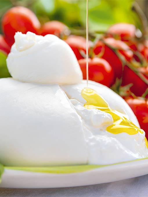 Burrata-Uebersicht