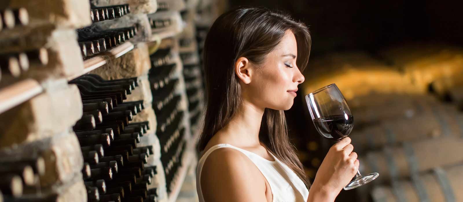 Primitivo Salento IGP - Testsieger Rotwein