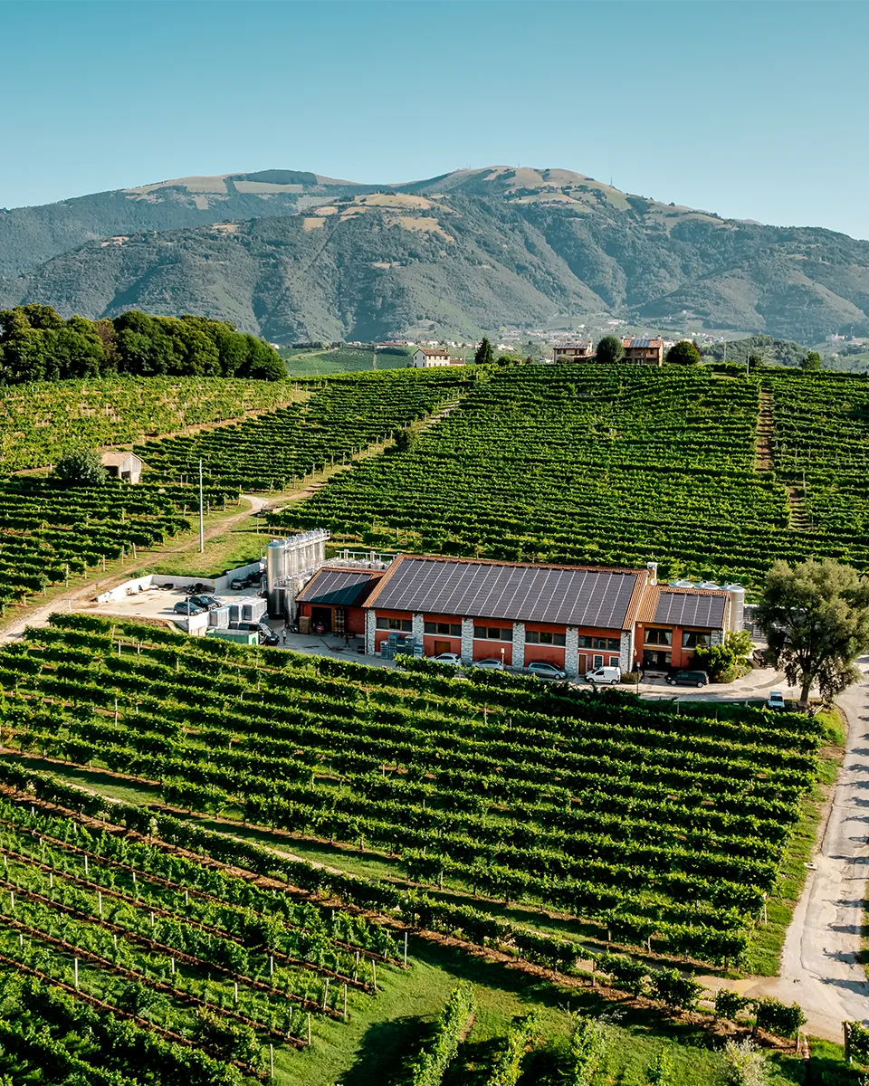 Drusian Winery Conegliano Valdobbiadene