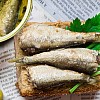 Sardine all´olio di oliva Sardine all´olio di oliva
